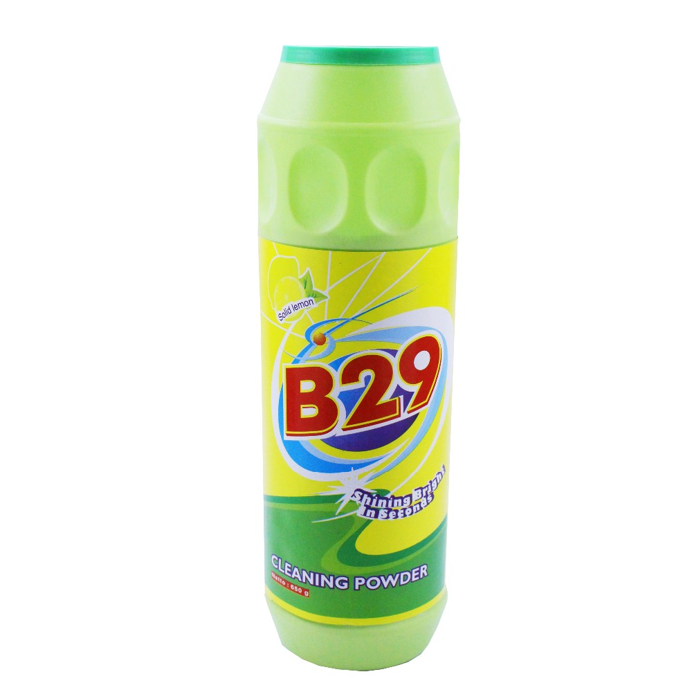 B29 Cleaning Powder Pembersih