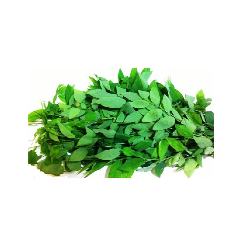 Daun Katuk 200gr