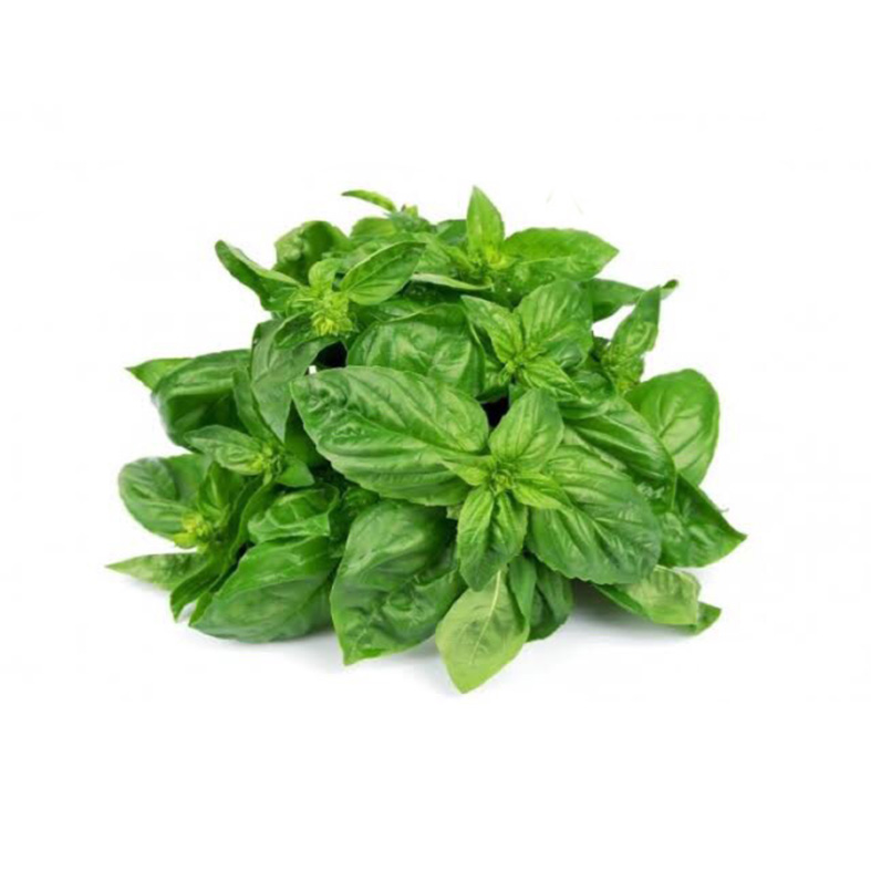 Daun Kemangi 100gr