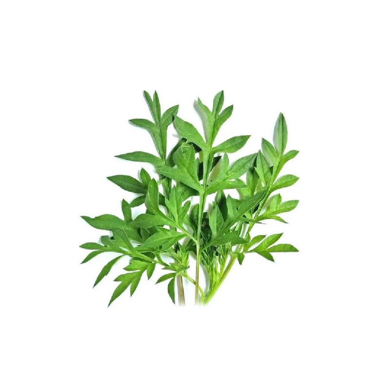 Daun Kenikir 250gr