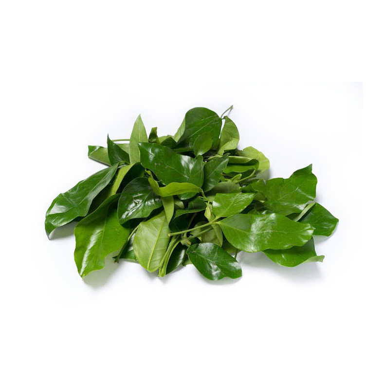 Daun Melinjo 100gr