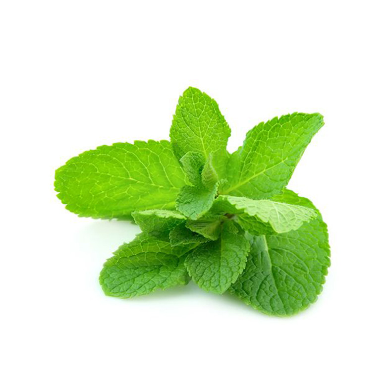 Daun mint 250gr