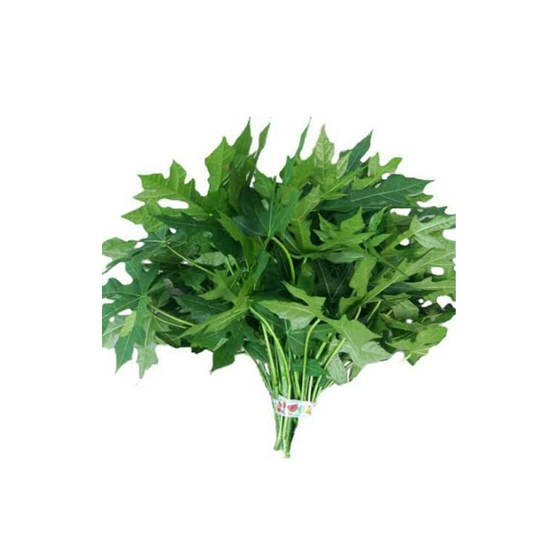 Daun Pepaya Jepang 250gr