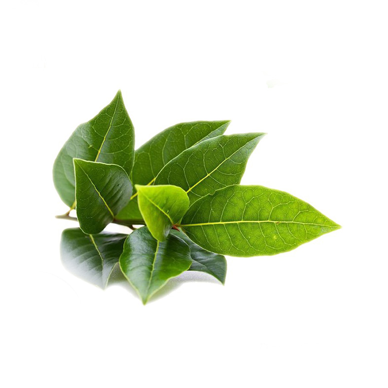 Daun Salam Fresh 50gr