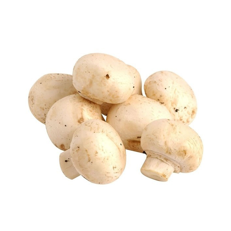Jamur Champignon 250gr