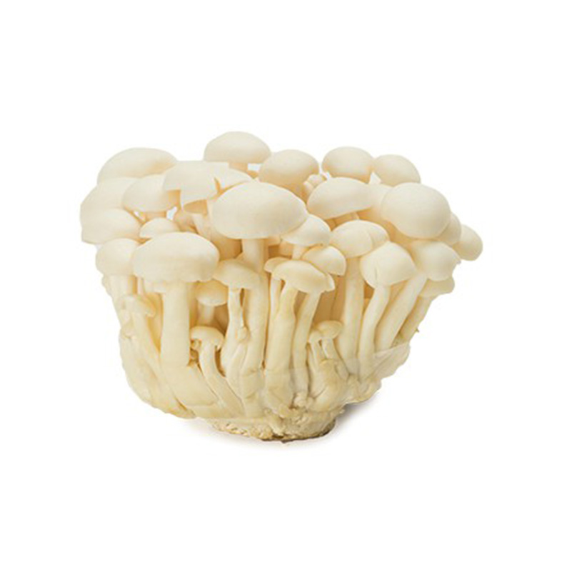 Jamur Shimeji Putih 150gr