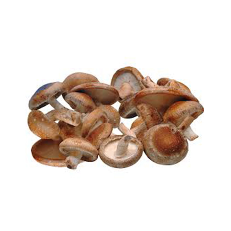 Jamur Shitake 250gr
