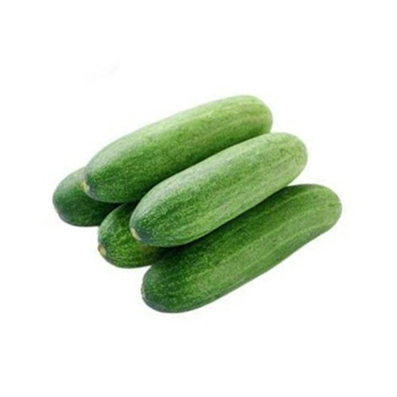 Timun Lalap 500gr