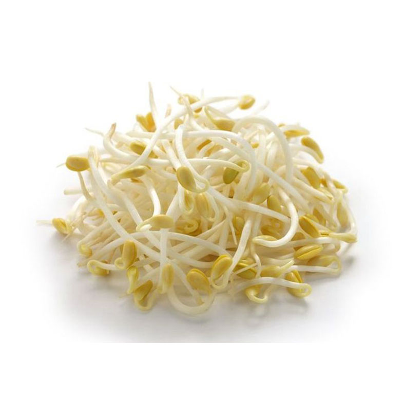 Toge Kecambah 250gr