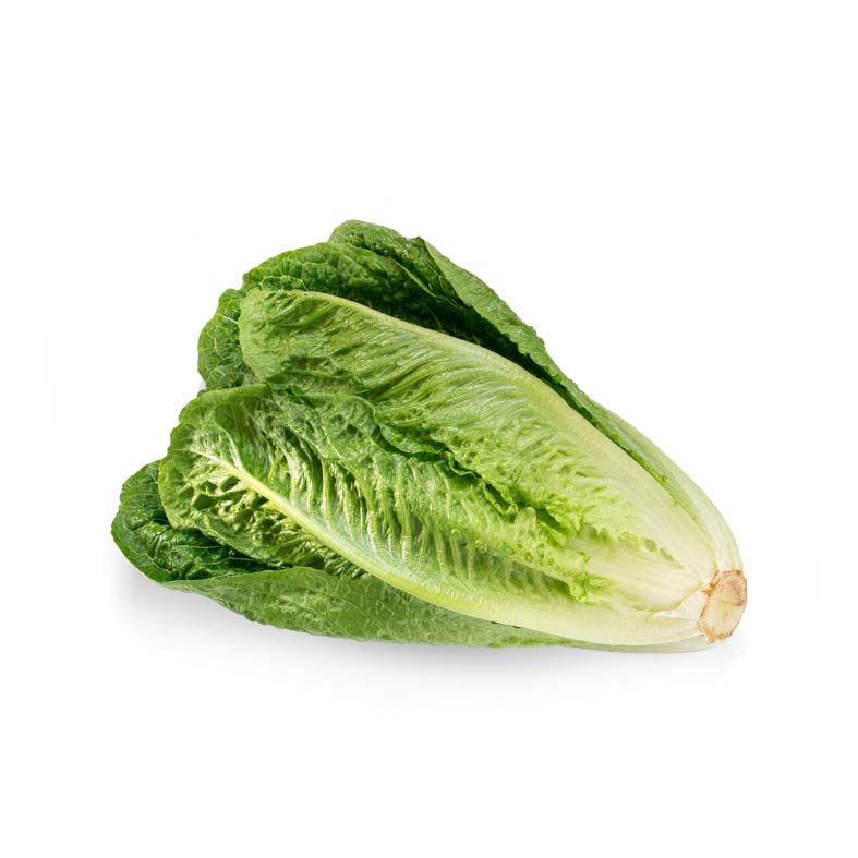 Lettuce Romaine 250gr