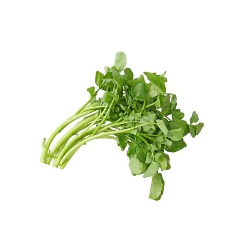 Selada Air 250gr