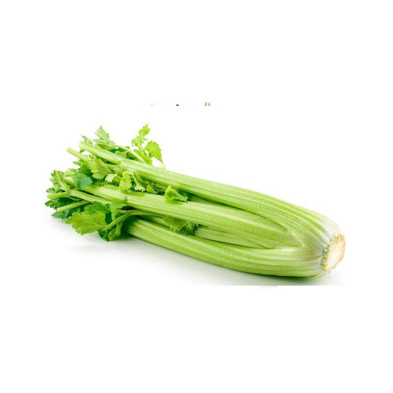 Seledri Stick Import / Celery Import 500gr