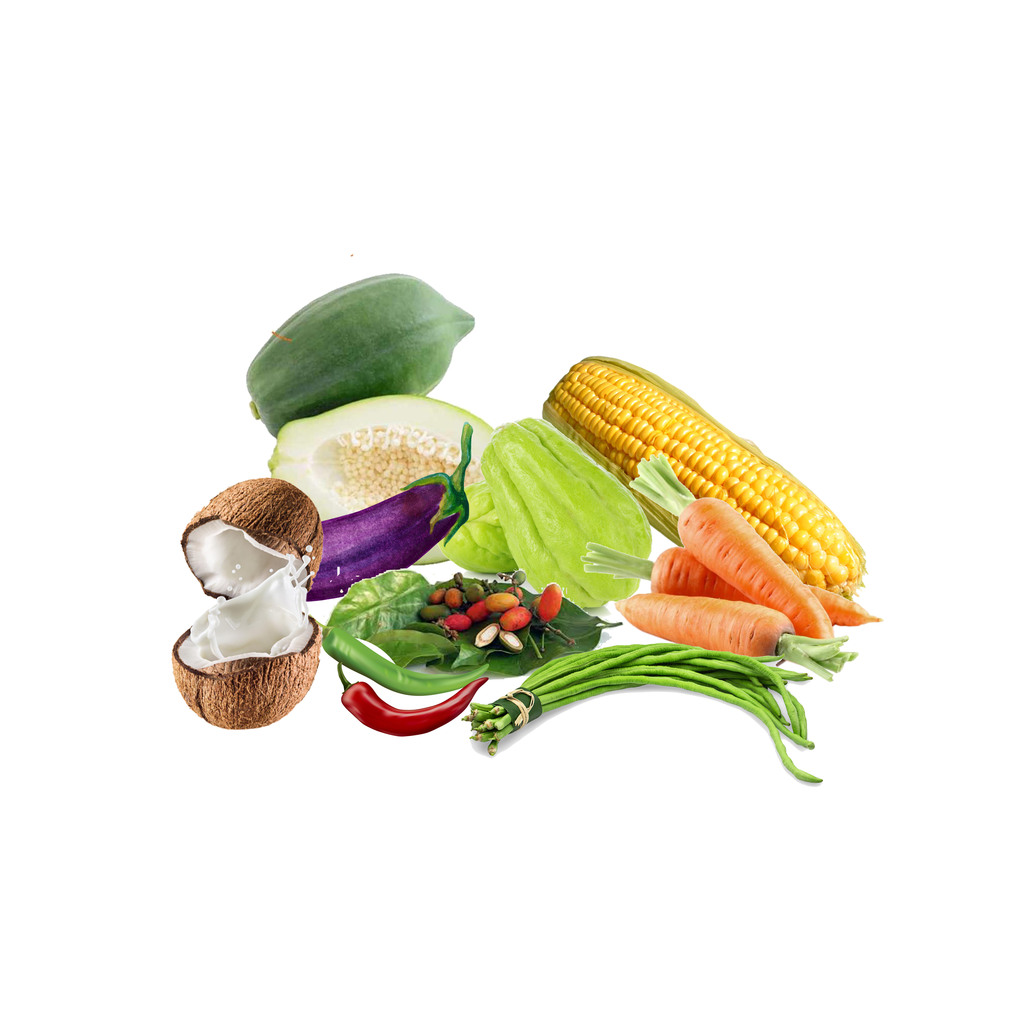 Paket Sayur Lodeh